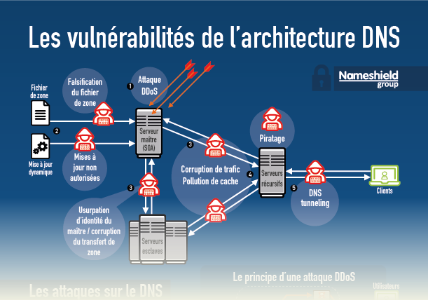 Infographie Les vulnérabilités du DNS - Nameshield