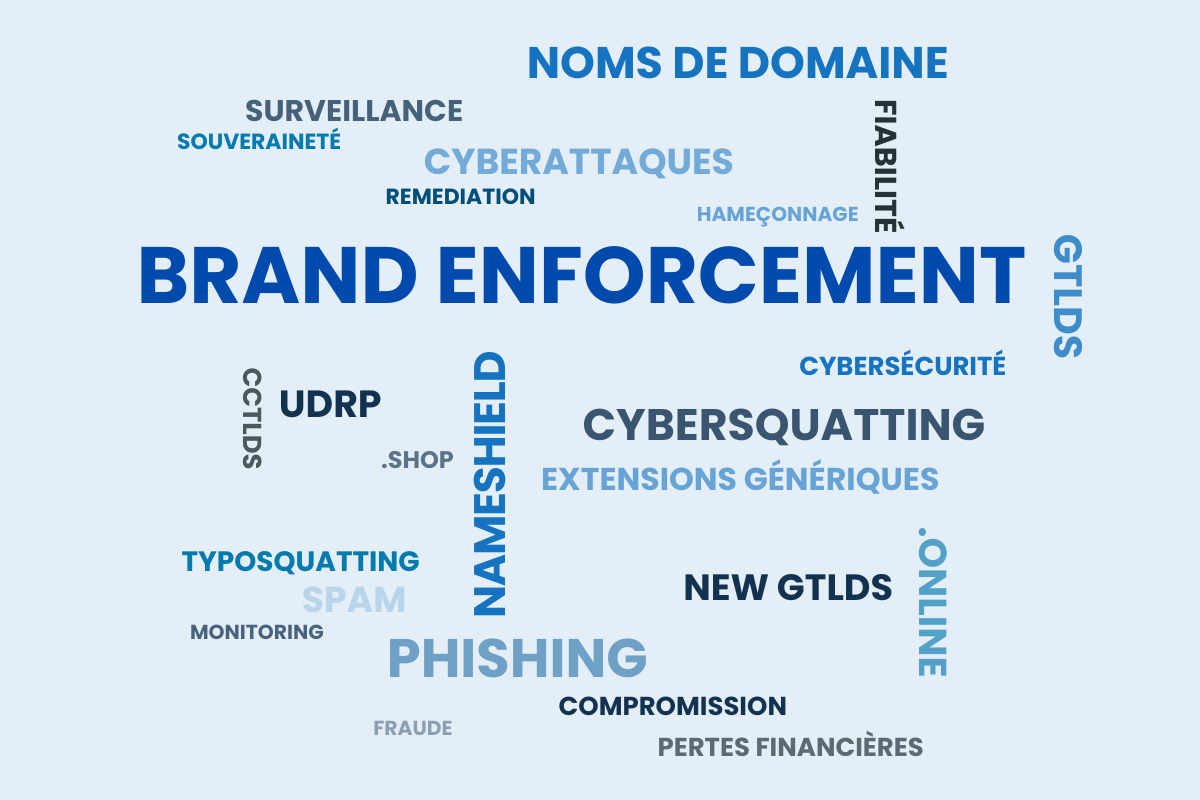 Augmentation de l’utilisation des noms de domaine en nouveaux gTLDs pour les cyberattaques en 2024