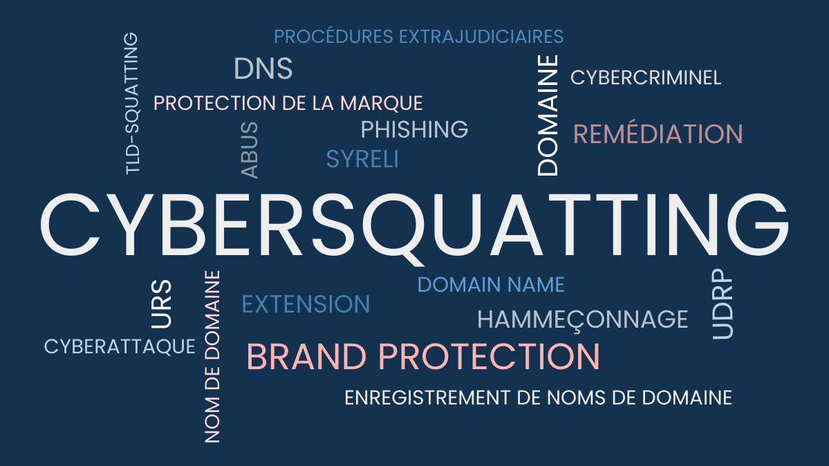 Quelles bonnes pratiques en cas de détection d’un nom de domaine usurpant votre marque ?